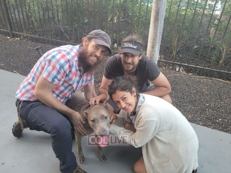 Rabbi Zirkind Reuniting a Dog with its Jewish owners.