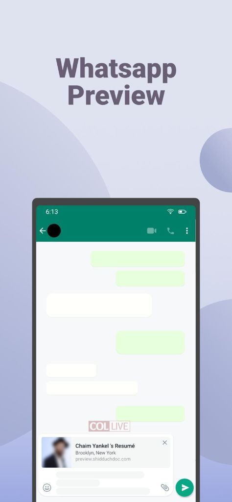 No More PDFs New App Will Handle - Shidduch Doc 7