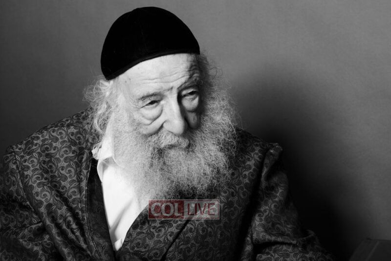 Photo: Marko Dashev - markodashev.com