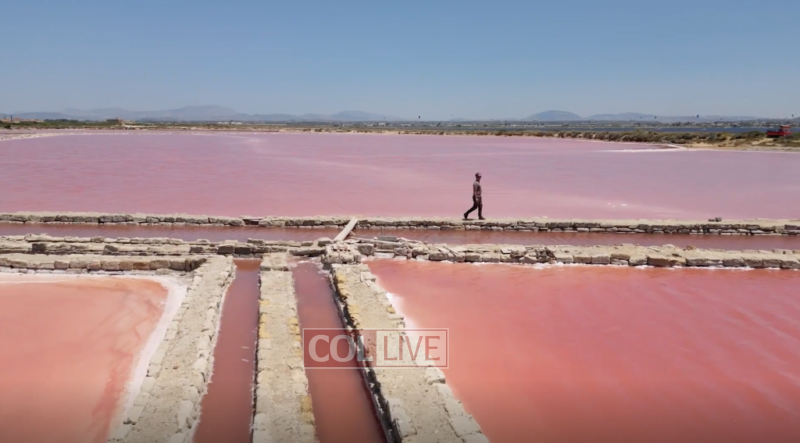 Flamingos Only, Beyond This Point