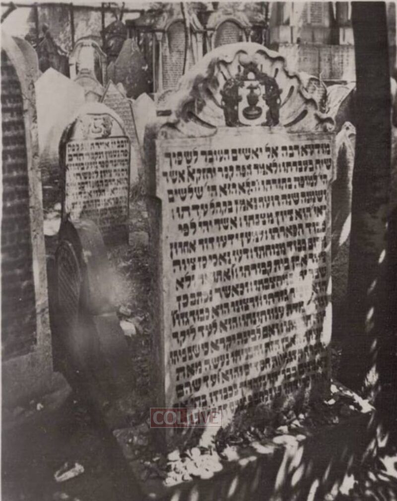 The Noda BiYehudah Rabbi Yechezkel Halevi Landau